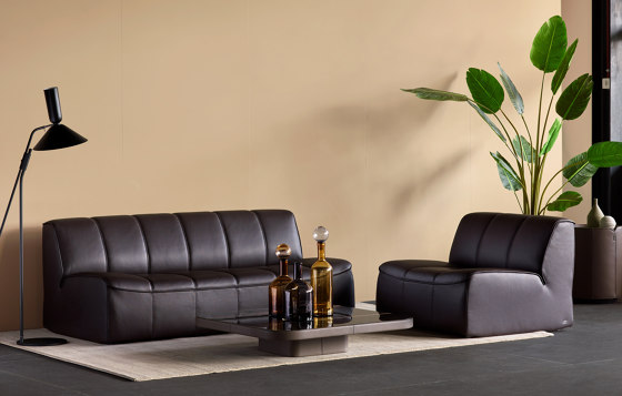 DS-910 Lounge | Sofas | de Sede