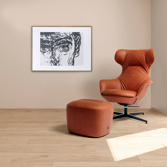 Musa - Sessel und sofas | Sessel | Diemme