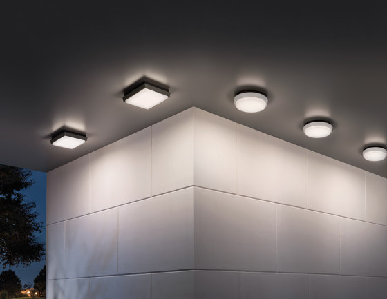 Alu wall-ceiling lamp | Lámparas de pared | Zafferano