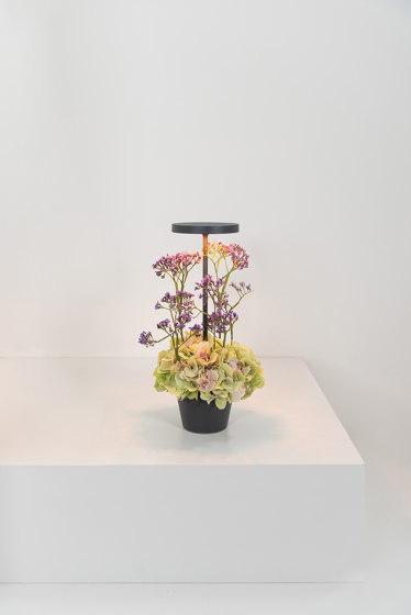 Poldina Reverso table lamp | Table lights | Zafferano