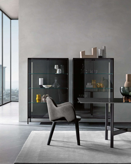 newton | Chairs | Fiam Italia