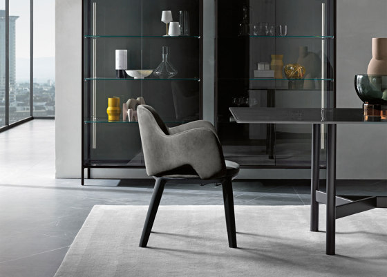 newton | Chairs | Fiam Italia