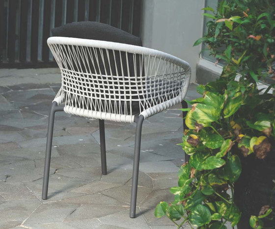 Ace Dining Armchair - White | Chairs | Design Pergola