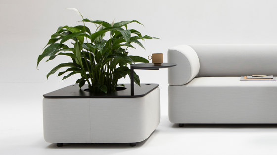 Mezza Planter | Pots de fleurs | Cascando