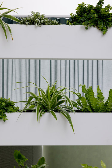 Patio Bold | Planter with cables | Vasi piante | Cascando