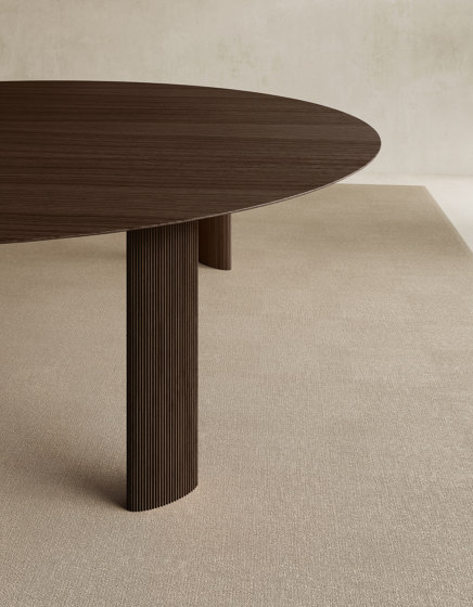 Fuste 260x180 H74 | Dining tables | viccarbe