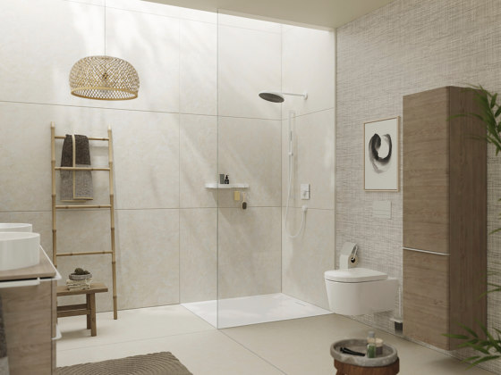 EluPura Q Wand WC 540 AquaFall Flush | WCs | Hansgrohe