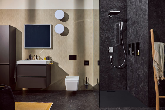 hansgrohe EluPura Q Wall hung WC 540 AquaFall Flush | WC | Hansgrohe