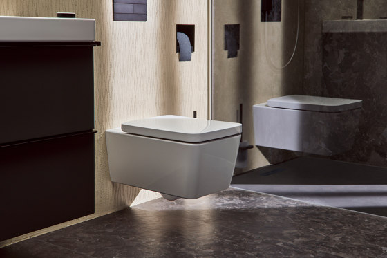 hansgrohe EluPura Q Wall hung WC 540 AquaFall Flush | WC | Hansgrohe