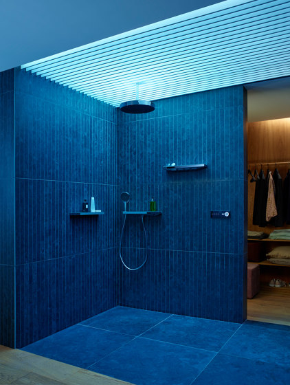 RainPad null | Rubinetteria doccia | Hansgrohe