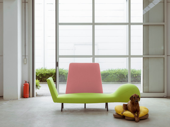 Canispè - Multifunctional Product | Sofas | Campeggi