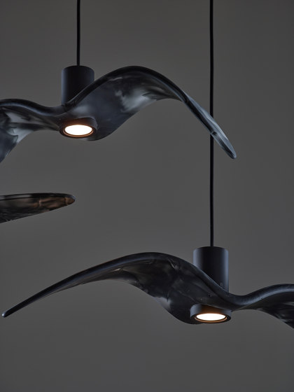 Night Birds PC962 | Lámparas de suspensión | Brokis
