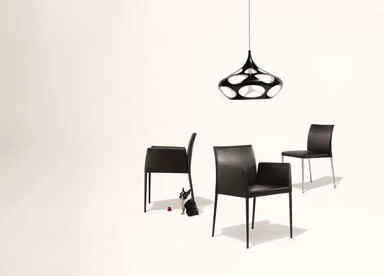 Deen chair with armrests | Sillas | Walter K.