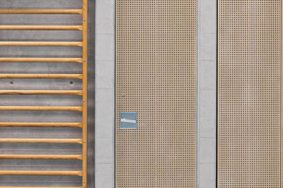 Duripanel | Unpolished Silber | Wood panels | Swisspearl Schweiz AG