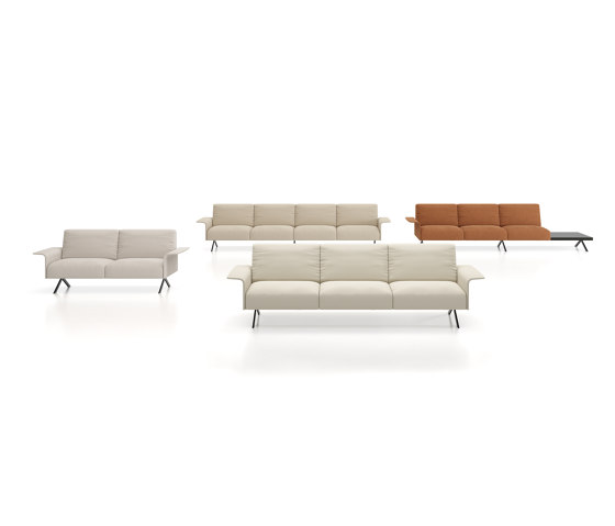 Sistema legs sofa | Divani | viccarbe