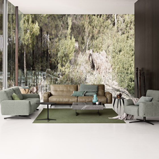 Rolf Benz 50 SE | Poufs | Rolf Benz