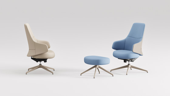 Mentor Lounge - Executive | Chairs | B&T Design