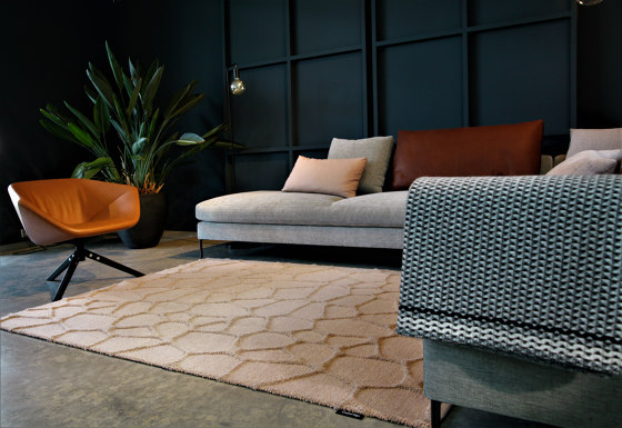 Surfaces 3D | Scales | Rugs | CSrugs