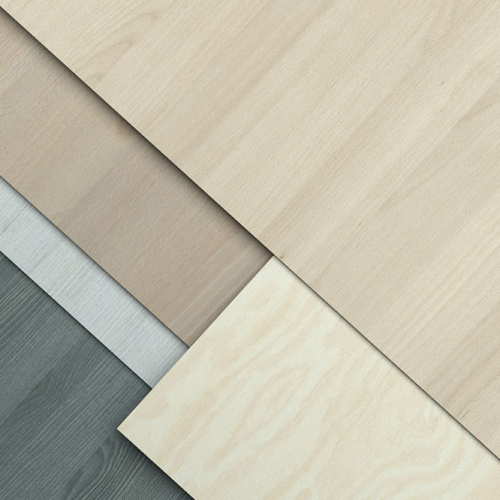 Chip | Wood panels | Pfleiderer
