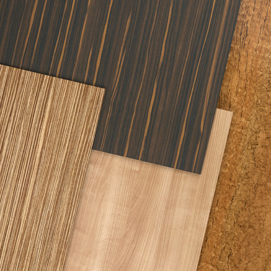 Zebrano | Wood panels | Pfleiderer