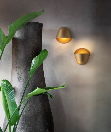 ENOKI wall lamp | Lámparas de pared | Penta