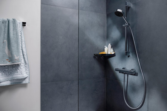 hansgrohe Unica Comfort Brausestange 0,65 m | Badarmaturen Zubehör | Hansgrohe