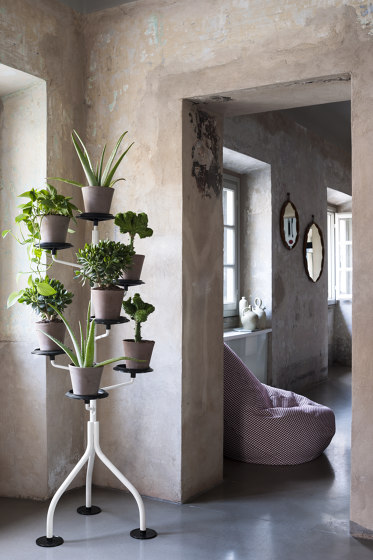 Albero | 400 | Plant pots | Zanotta