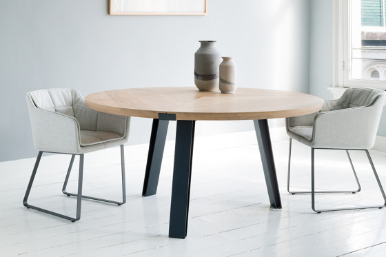 Cambria Dining Chair | Sedie | QLiv