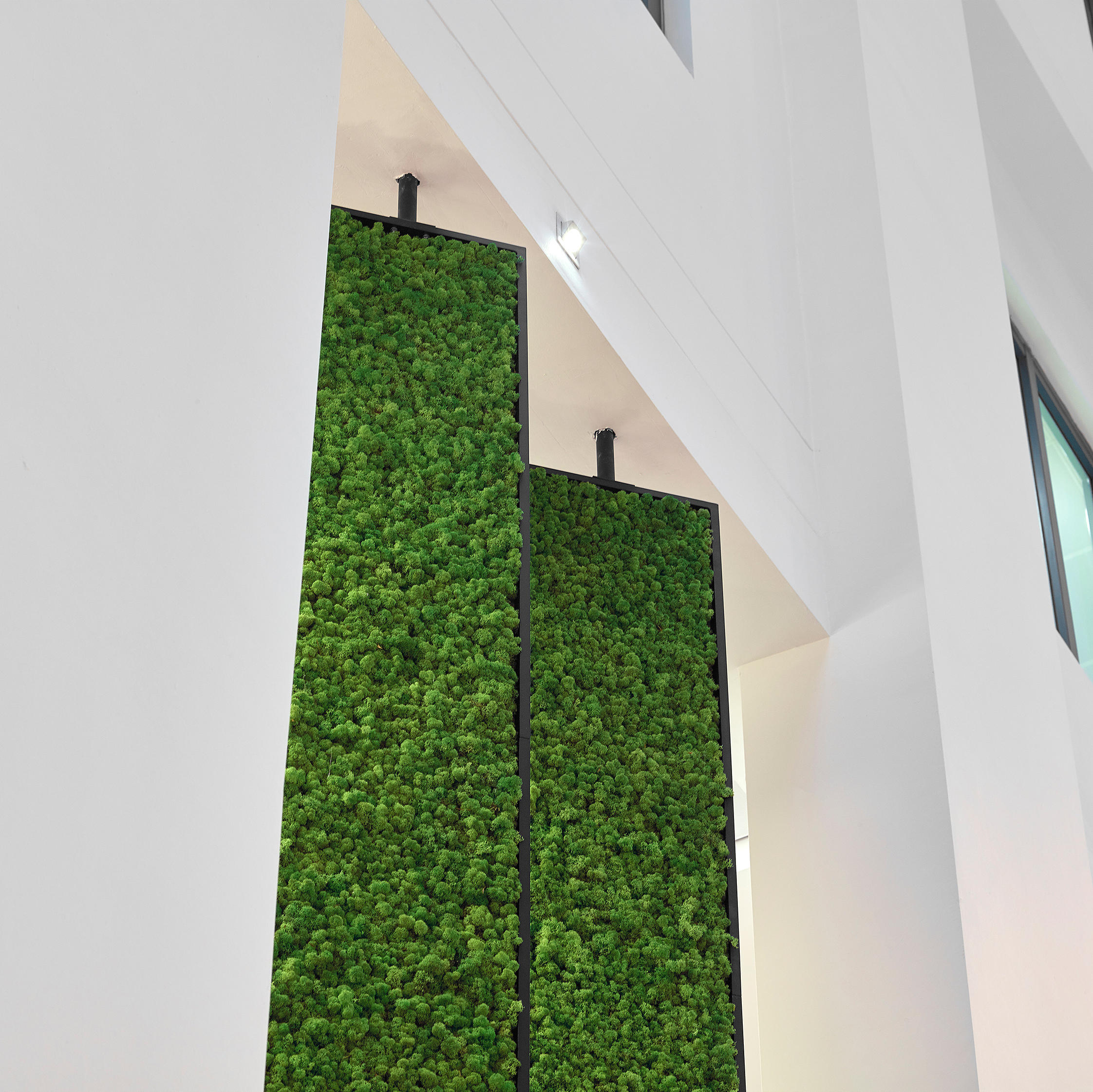 Green Wall Lichen & designer furniture