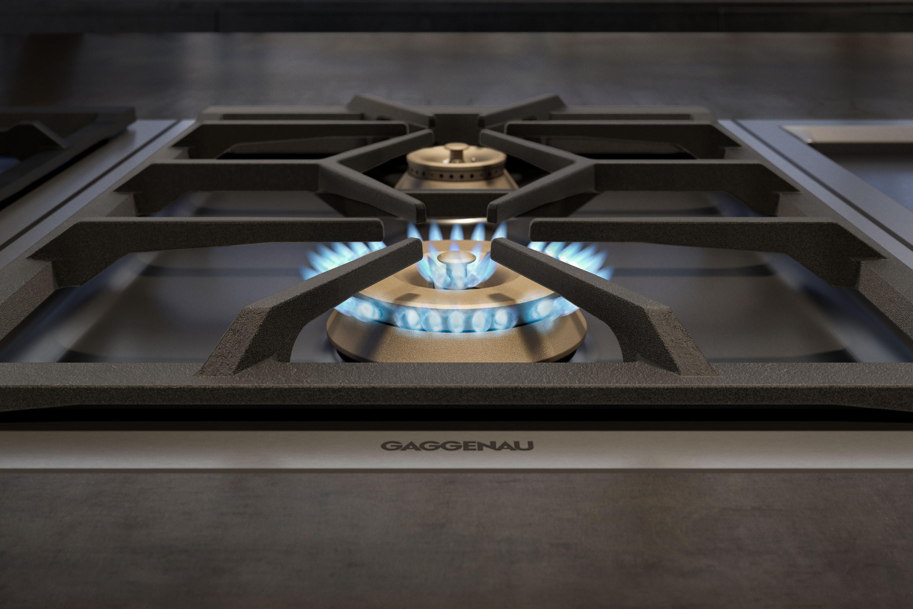 Gaggenau Vario 400 Series 15 Electric Cooktop with 2 Burners & Griddle -  Stainless Steel