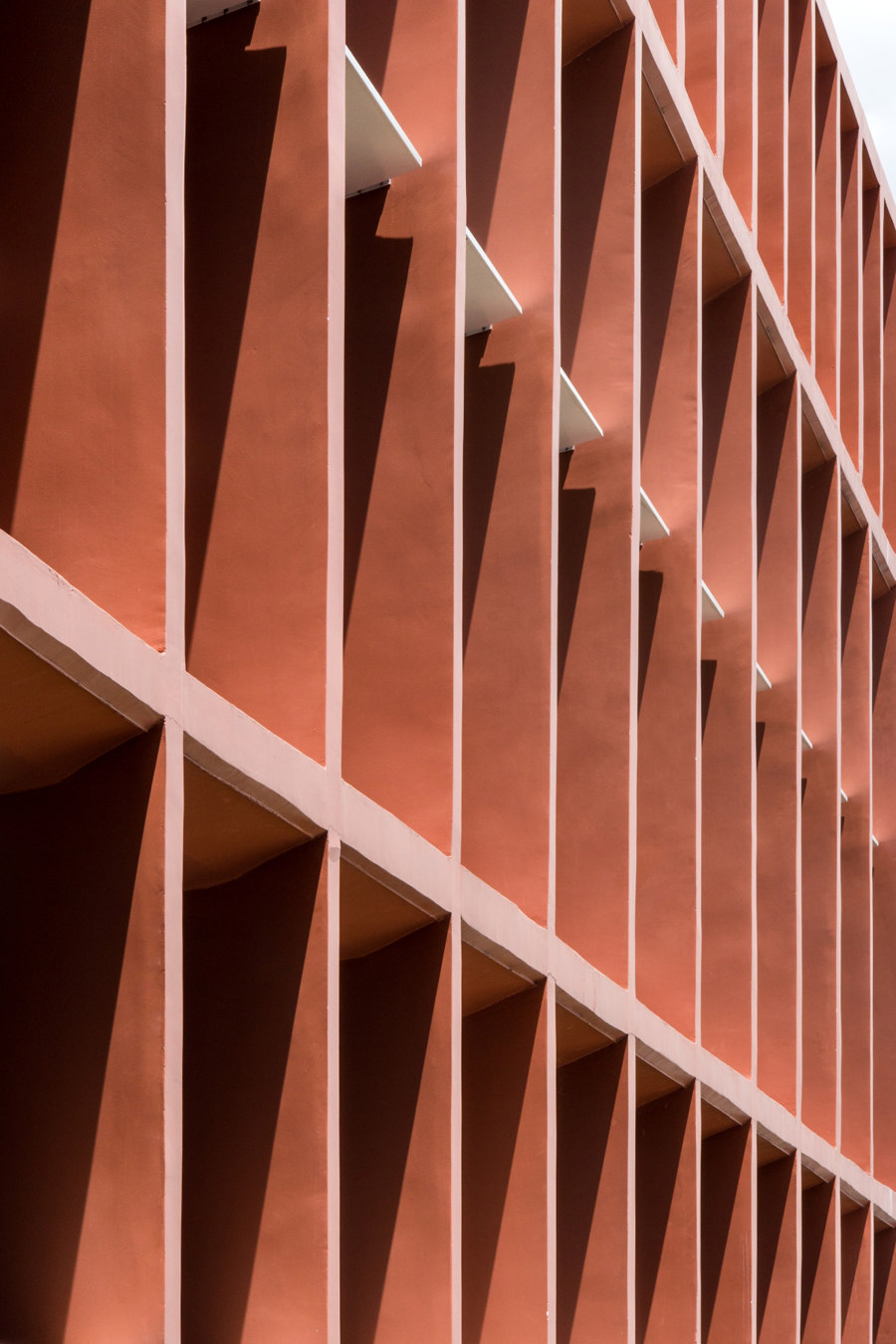 Neeson Cripps Academy von COOKFOX Architects | Schulen