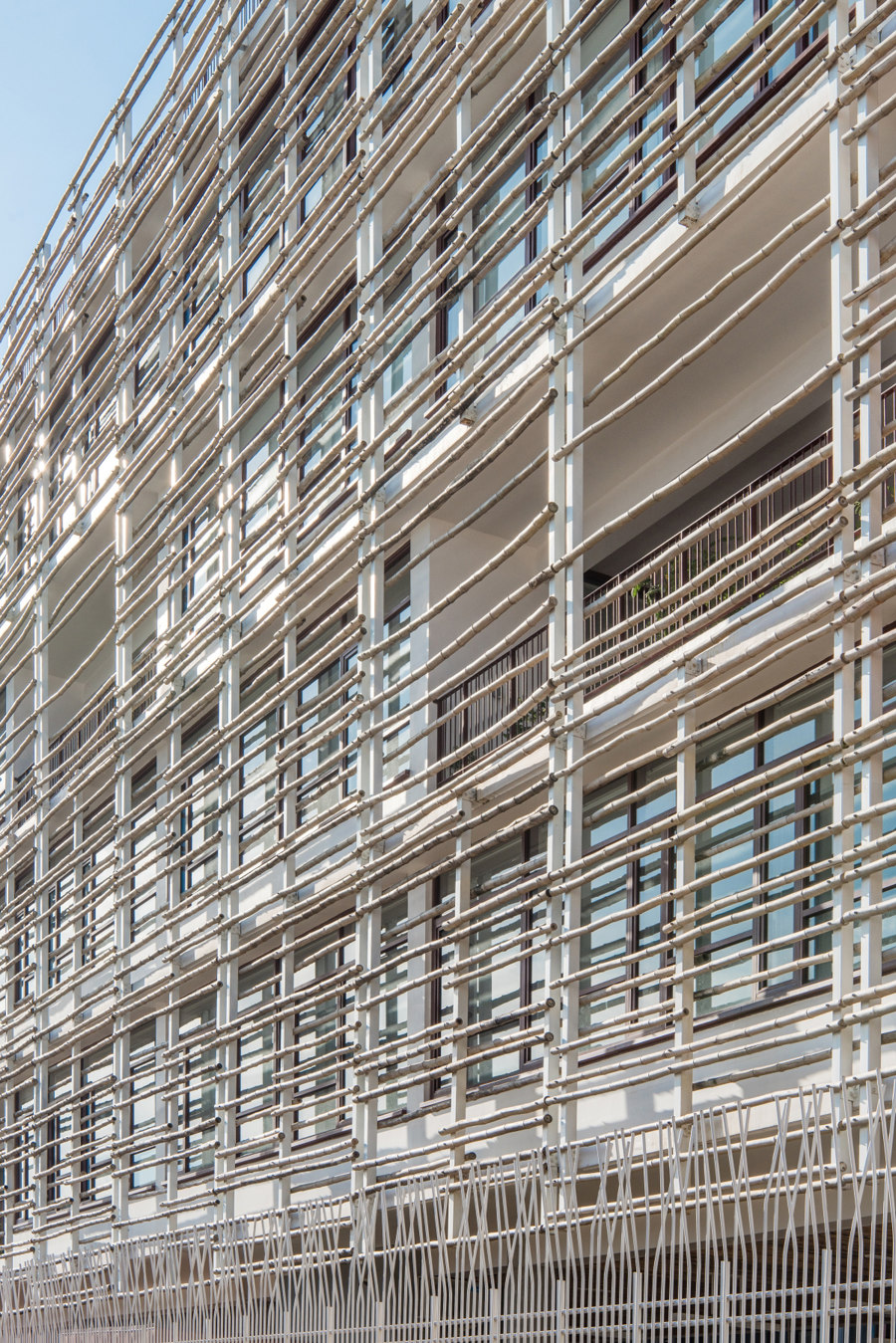 Neeson Cripps Academy di COOKFOX Architects | Scuole