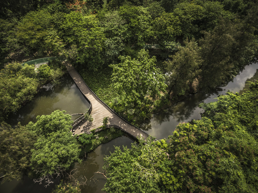 The Bird Wave Bridge Bridging the Gaps | Parks | Shma