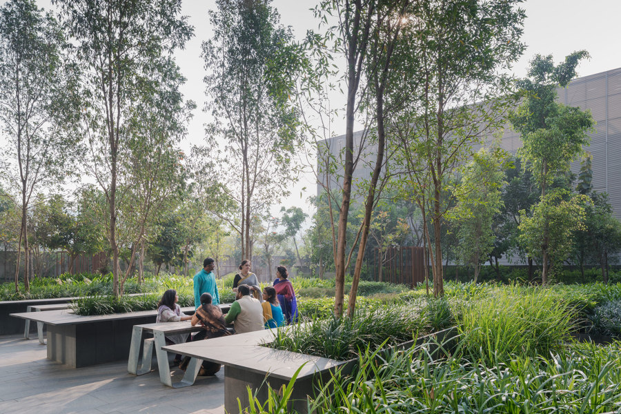 Lupin Research Park by Shma | Parks