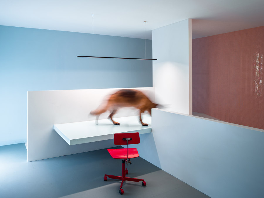 The Dog House di Atelier About Architecture | Locali abitativi