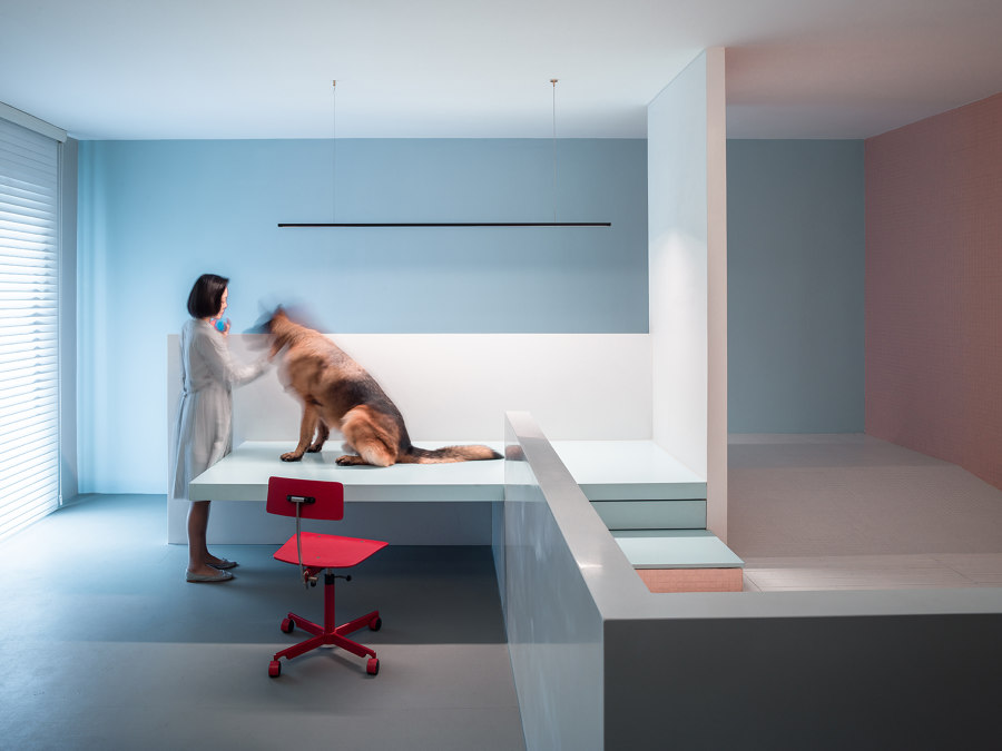 The Dog House by Atelier About Architecture | Living space