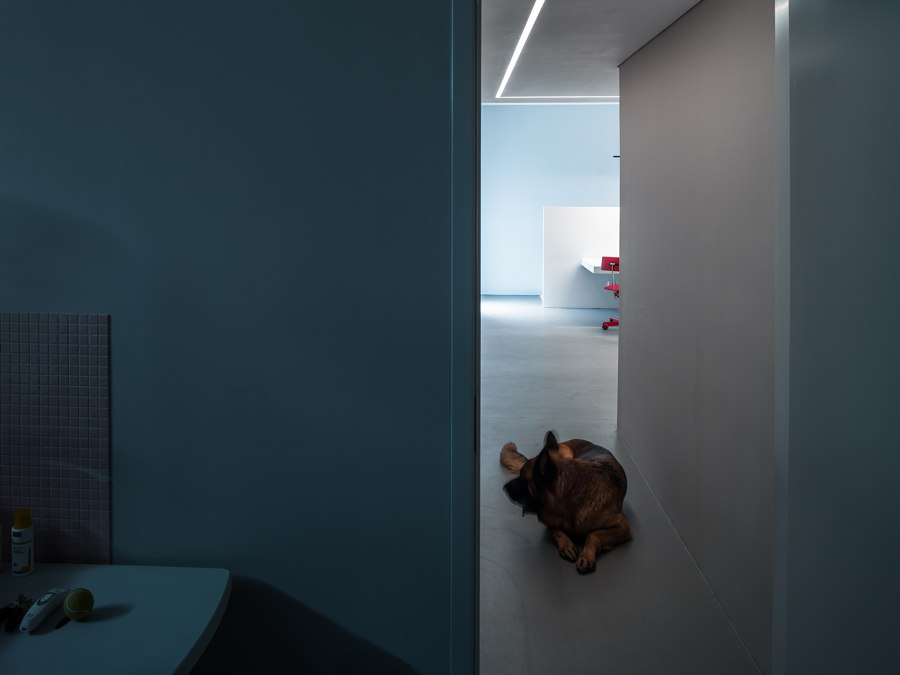 The Dog House de Atelier About Architecture | Espacios habitables