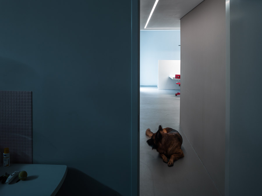 The Dog House by Atelier About Architecture | Living space