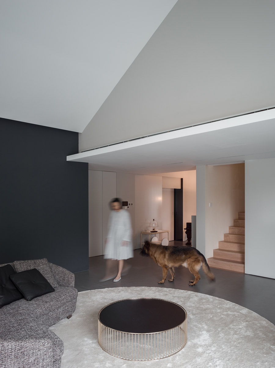 The Dog House de Atelier About Architecture | Espacios habitables