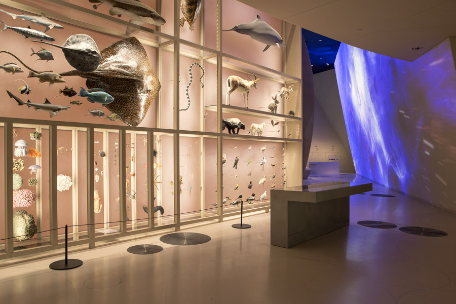 National Museum of Qatar de Ateliers Jean Nouvel | Musées