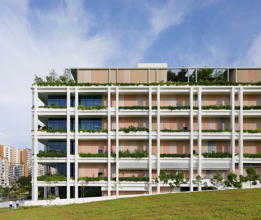 Oasis Terraces de Serie Architects | Immeubles
