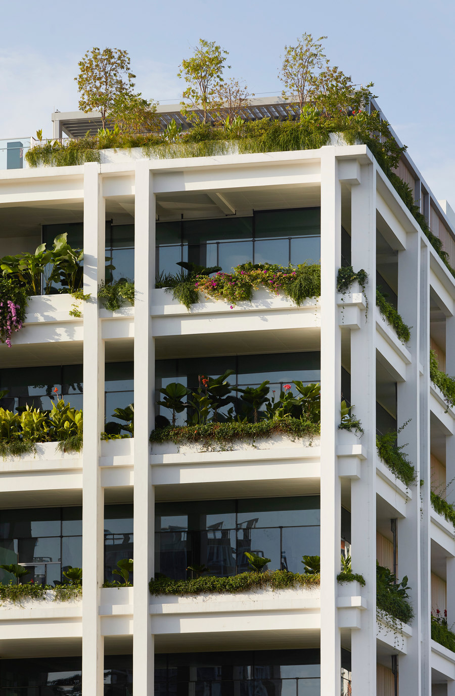Oasis Terraces de Serie Architects | Urbanizaciones