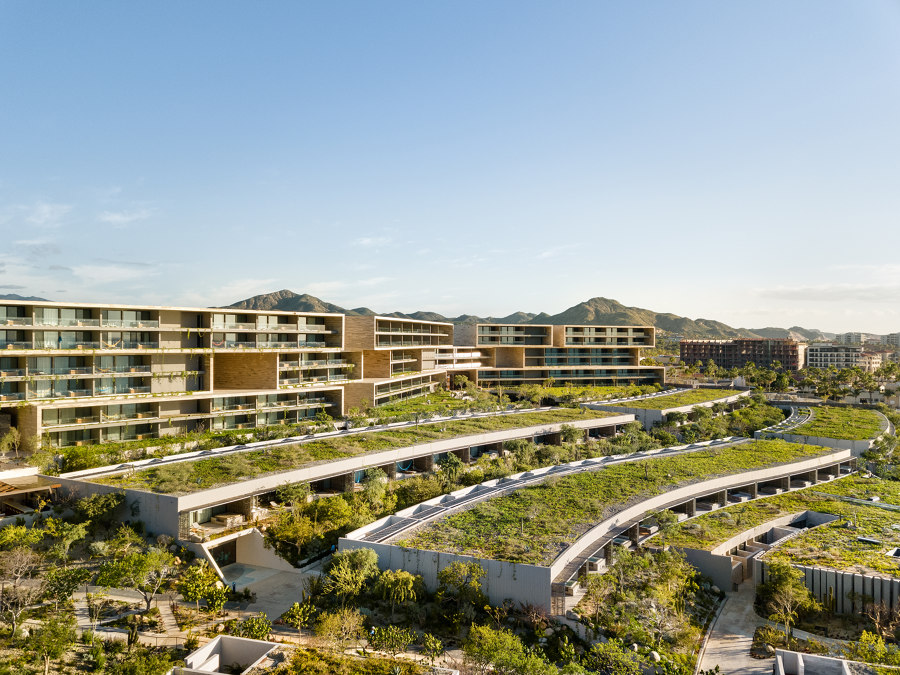 Solaz Los Cabos von Sordo Madaleno Arquitectos | Hotels