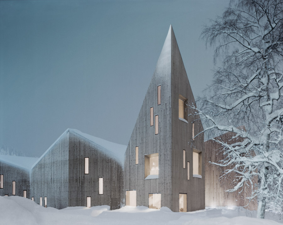 Romsdal Folk Museum de Reiulf Ramstad Arkitekter | Musées