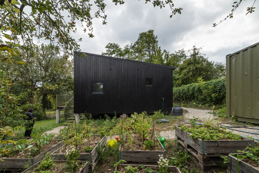 Szelag Garden Pavilion de wiercinski-studio | Édifices sacraux / Centres communautaires