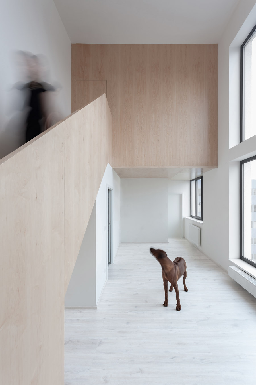 Urban Infill Lofts von Chybik + Kristof Architects & Urban Designers | Mehrfamilienhäuser