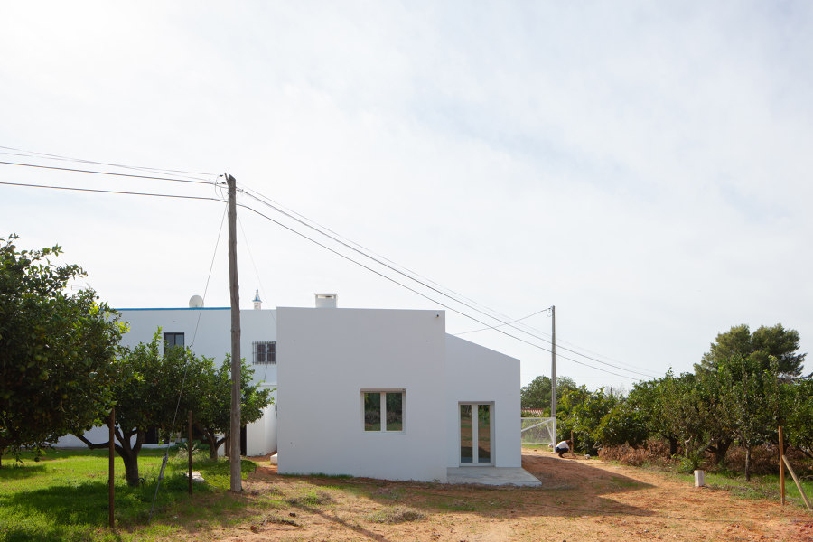Falfosa House de AAP Associated Architects Partnership | Casas Unifamiliares