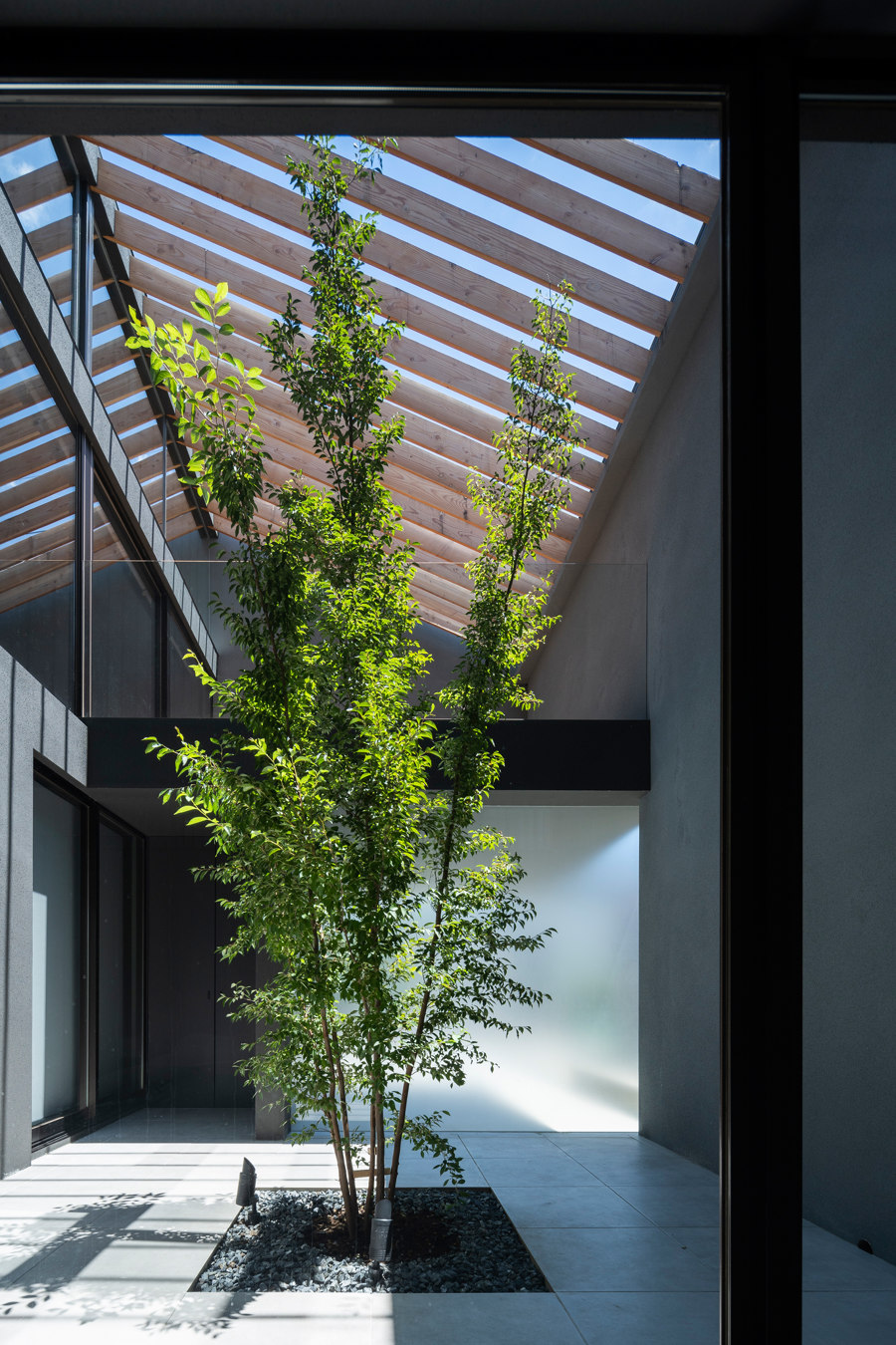 Leaf de APOLLO Architects & Associates | Maisons particulières