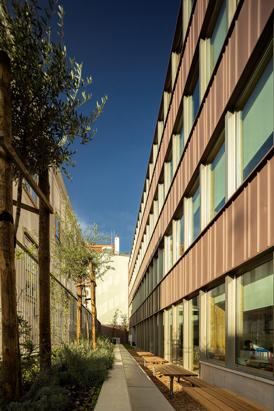 Redbridge School de ARX Portugal Arquitectos | Escuelas