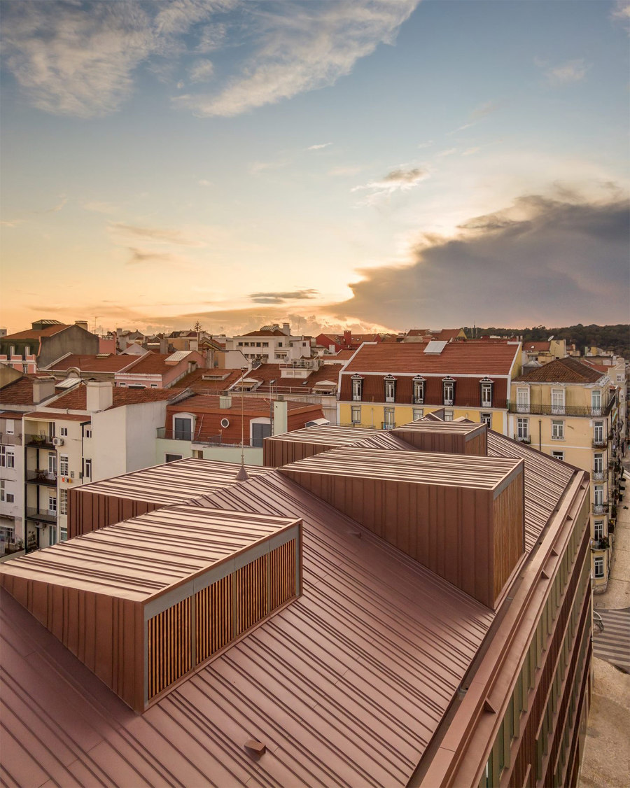 Redbridge School de ARX Portugal Arquitectos | Écoles